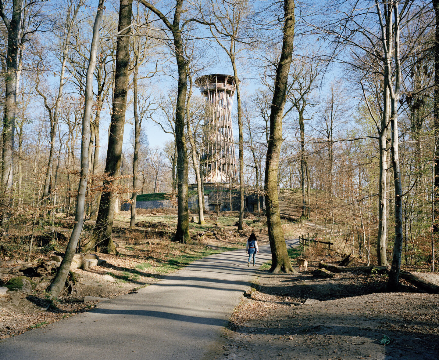 La tour en bois de Sauvabelin. © Geoffrey Cottenceau © CPCL